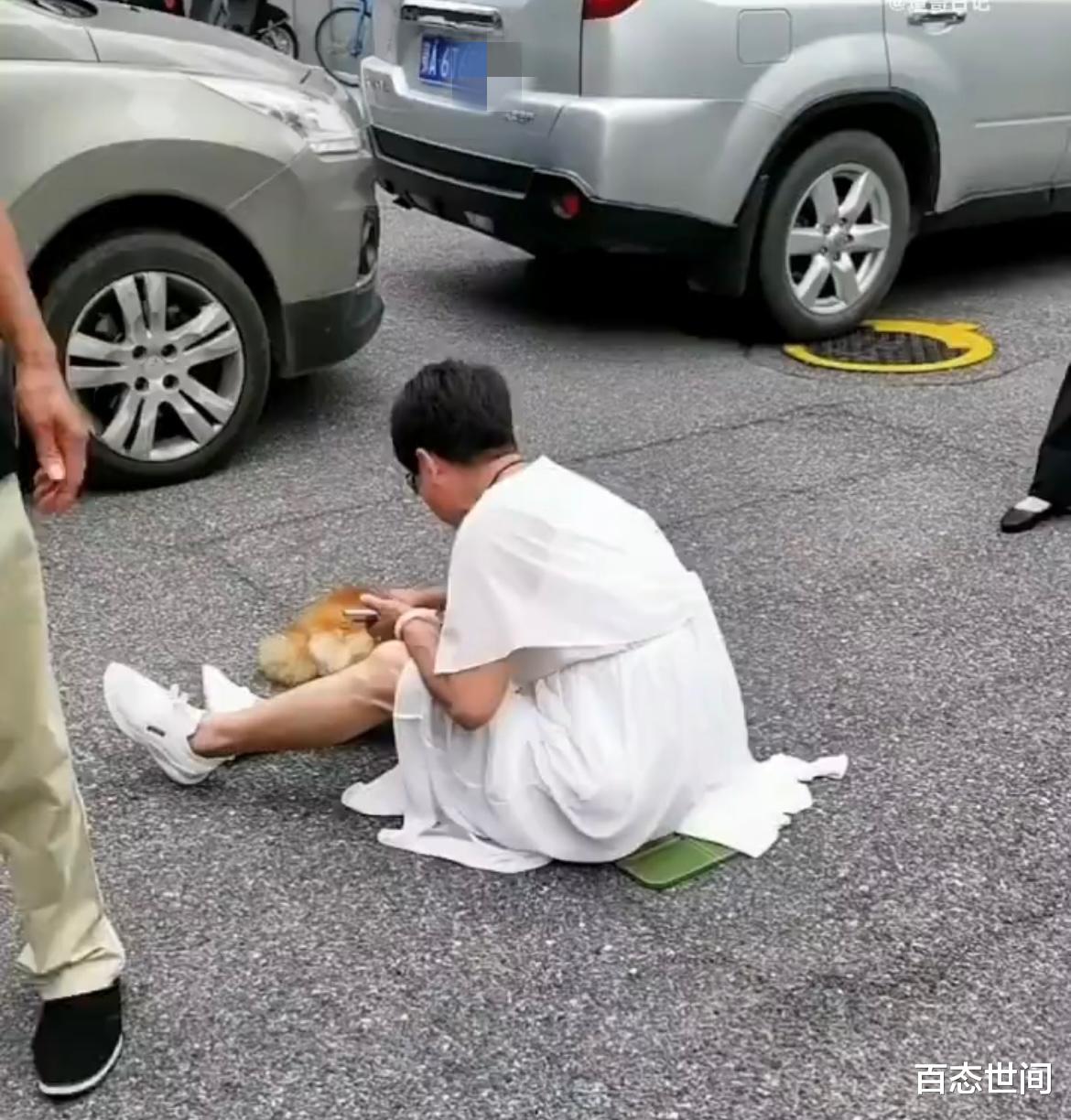 武汉女子遛狗不拴绳,狗被轧死后坐地痛哭,要对方赔狗还呼吁曝光