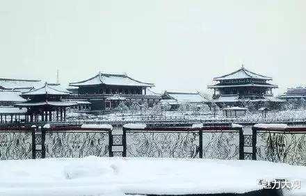 隔离|张万森，下雪了！我想和你看遍这世间最美的雪景