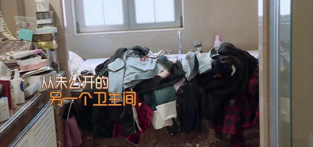 35岁袁姗姗晒出独居生活照,全屋乱到超乎想象,网友:很有烟火味