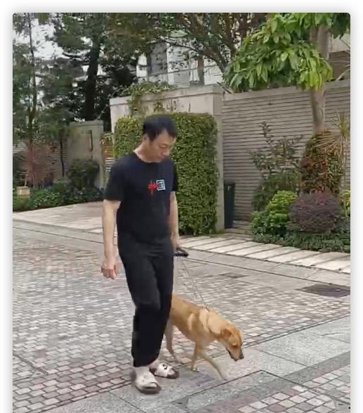 成龙|6位老牌港星来内地，成龙和内地网红合影，甄子丹到处旅游