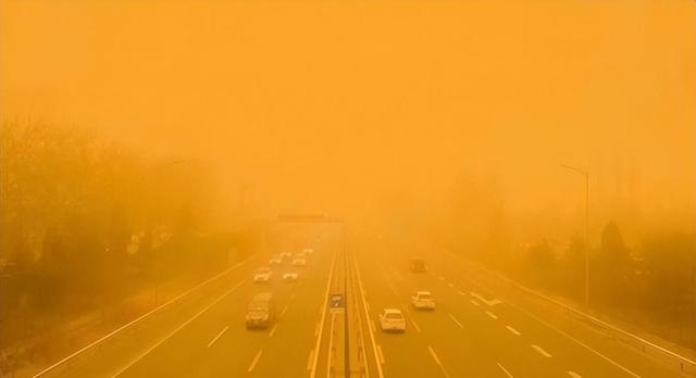 马云|蚂蚁森林：马云承诺在沙漠里种树，如今六年已经过去，树怎样了？