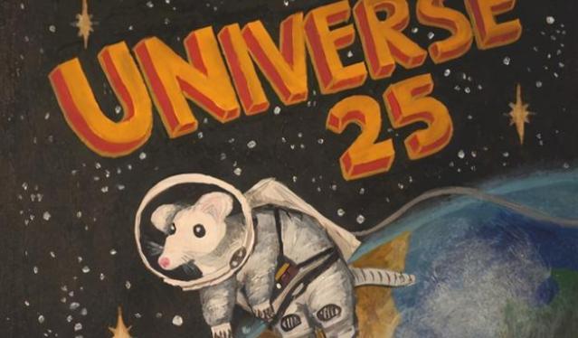 让人细思极恐的实验:崩溃的25号宇宙,完美乌托邦不可能存在吗?
