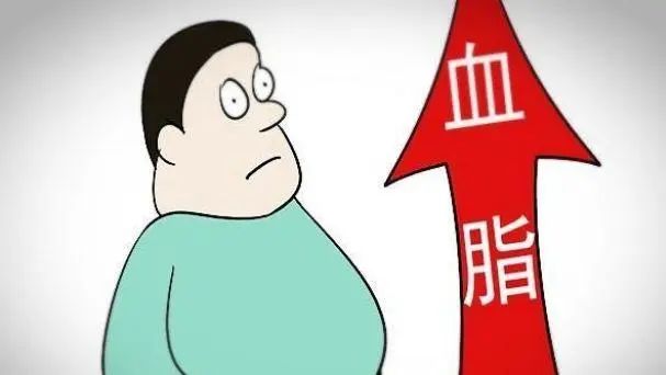 肝脏|家有高血脂不要慌,饮食做好这几点比吃药更管用!