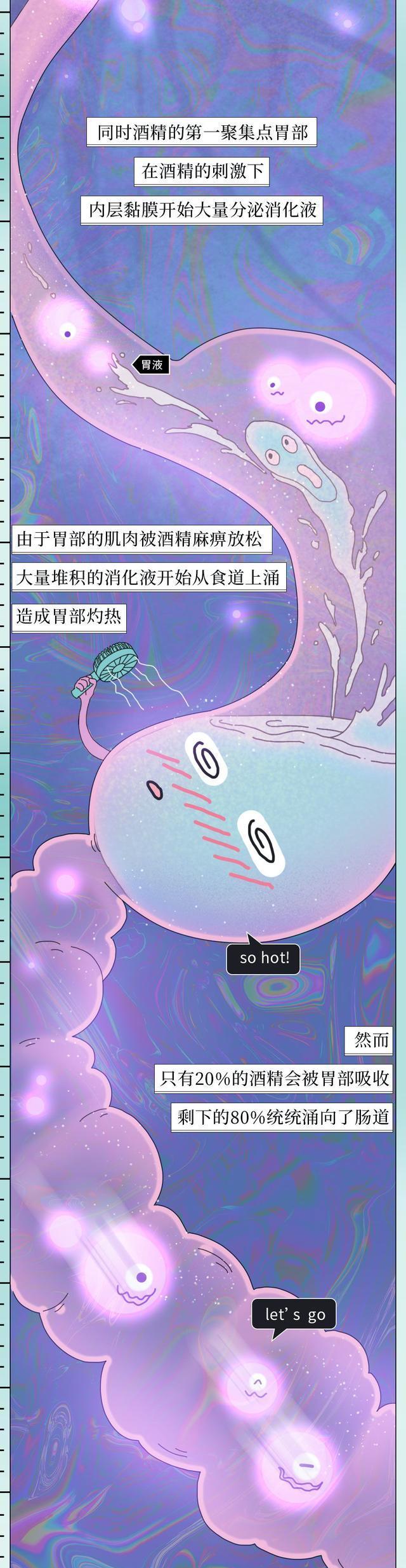 |酒精在体内的“活动轨迹”公布，看完后你还敢继续喝酒吗？