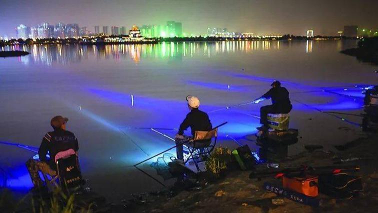 |盛夏夜钓正当时！垂钓中牢记这4点，鱼获轻松翻一倍！