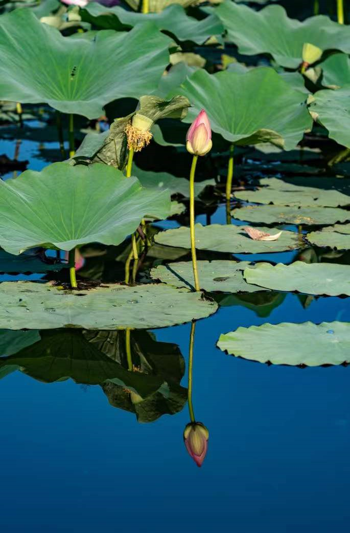 摄影|2021年终摄影总结，这一年我拍了点啥？多图杀猫流量预警！