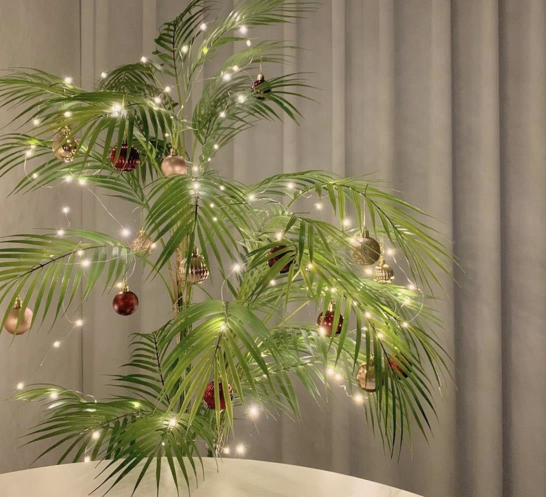 韩国25岁女主坚持“低欲生活”,全屋极简风十足,家居氛围美极了