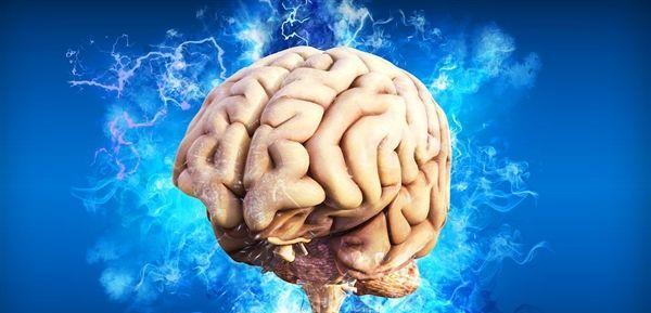 缸中之脑?科学家发现人脑细胞在体外也有智慧!