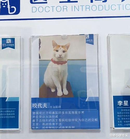 女子花10元挂了专家号,推门一看想走人了:感觉太亏了呀