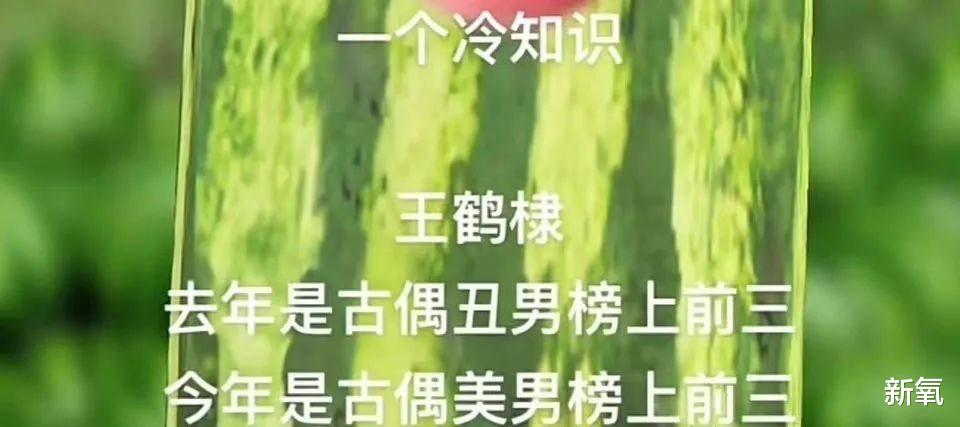 什么样的摄影美学才能让人眼前一亮？