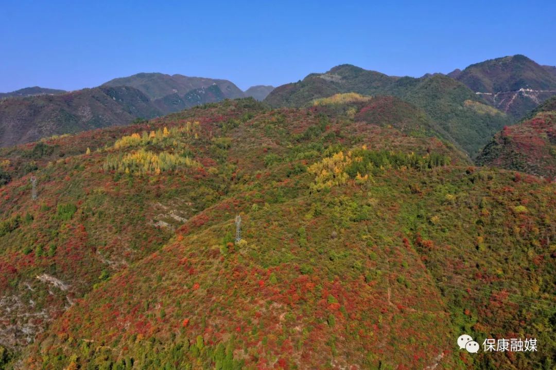 伊吾胡杨林|马桥镇：秋韵浓郁，风景如画