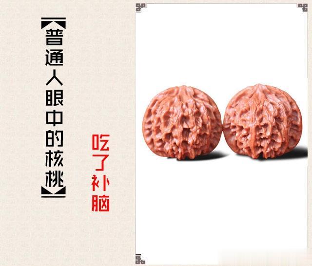 文玩|你眼中的文玩世界和普通人眼中的文玩世界