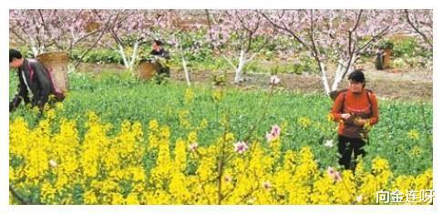 银行|未来5年，这些人会越过越穷，10个职业会失业，看看有没有你！