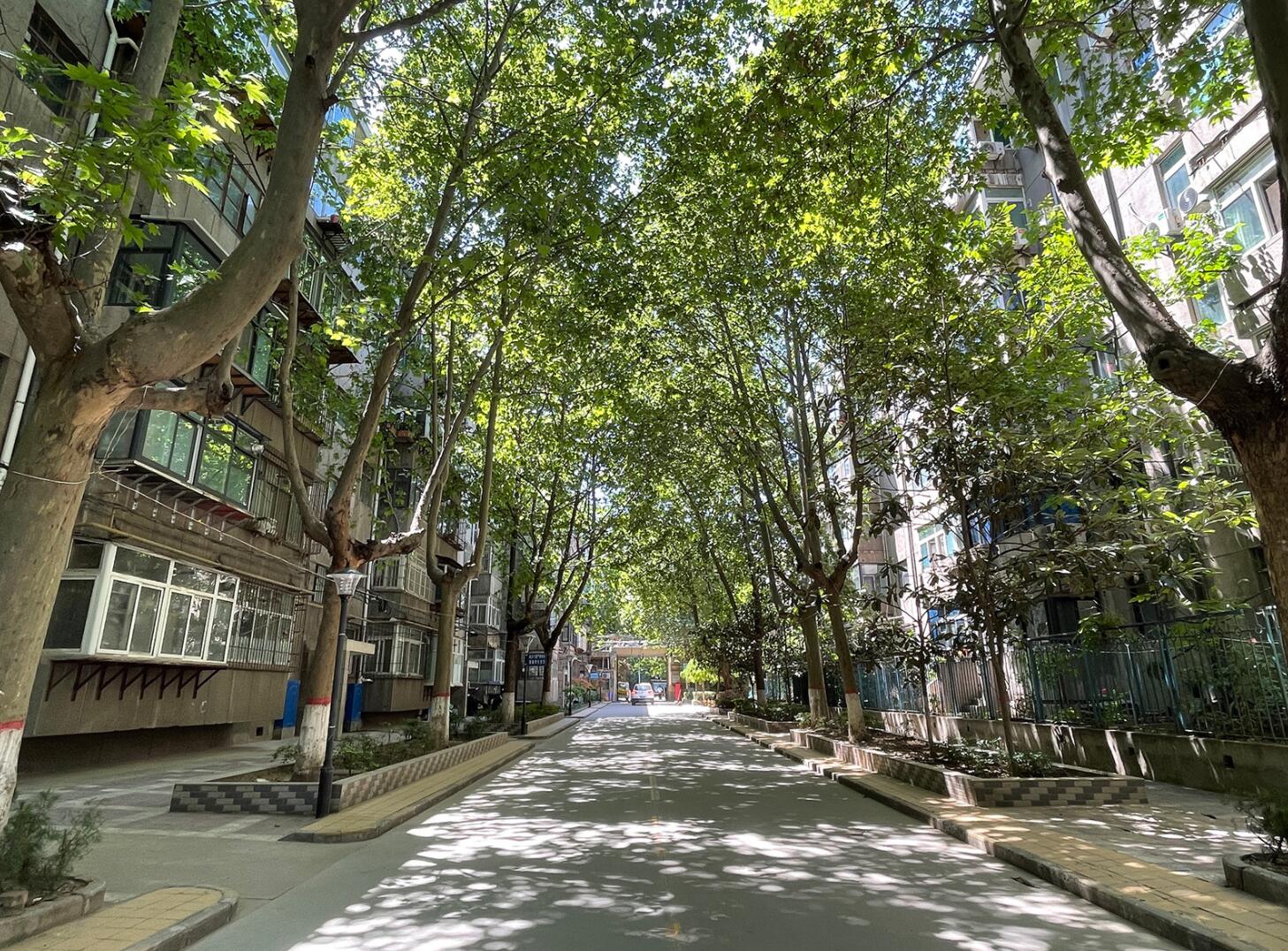 西安夫妇精致的生活:88㎡,一进门就很文艺,仿佛将生活过成了诗