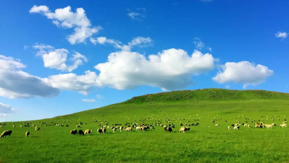 草原|内蒙古的草原，你觉得哪个最好看？