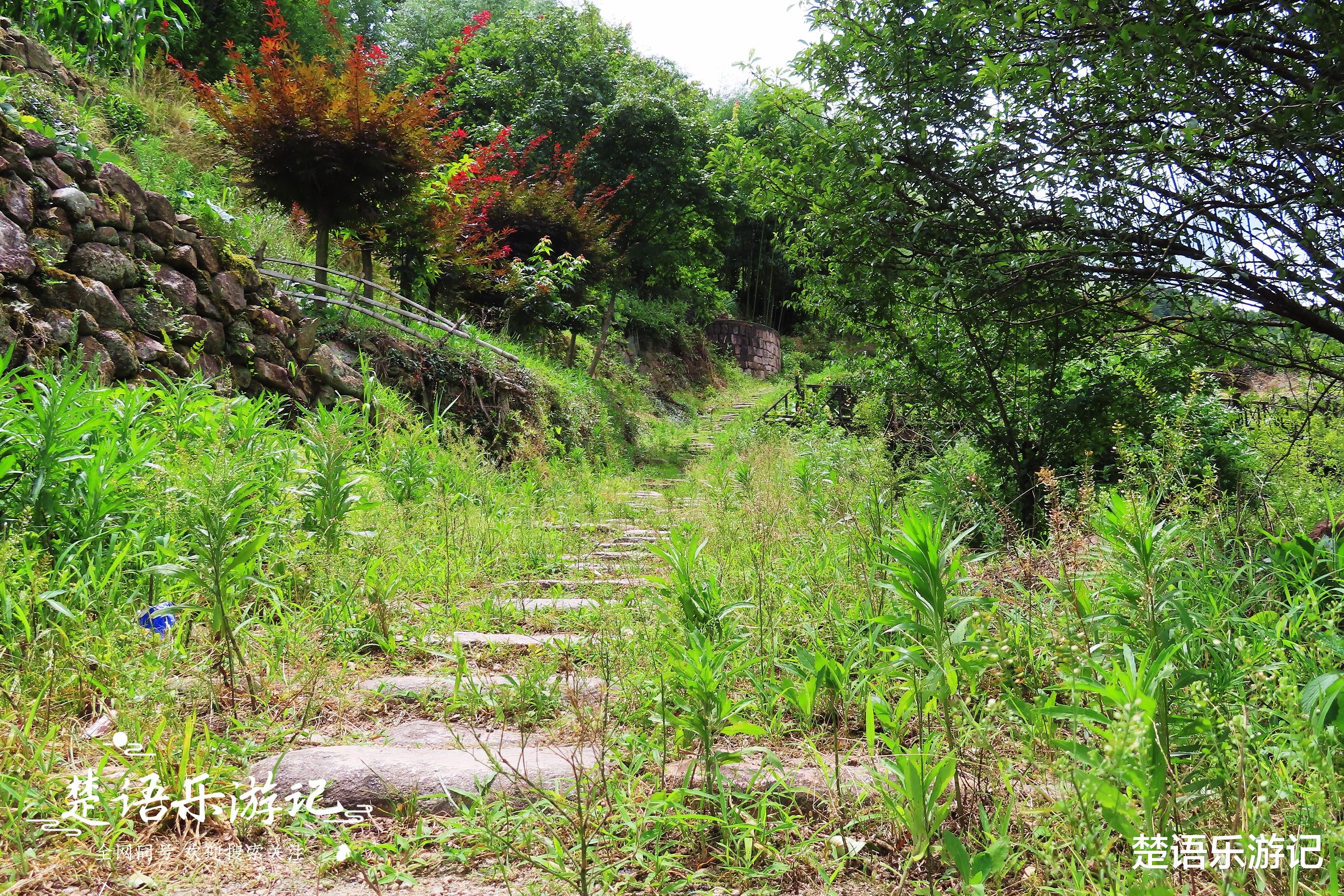 |被称为世外桃源的新昌古村，清溪瀑布真的美不胜收，竟是消暑胜地