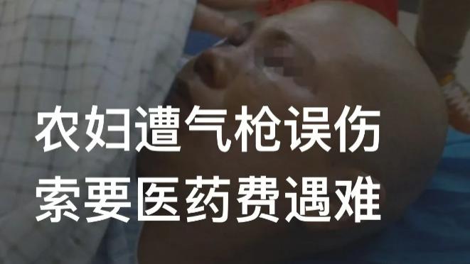 湖南岳阳，农妇被气枪误伤成轻伤二级，索要医药费却遇糟心事。