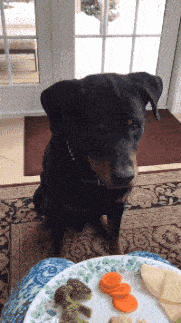 肖央|“筷子兄弟为什么就火了肖央一个人?”因为王太利是老板啊