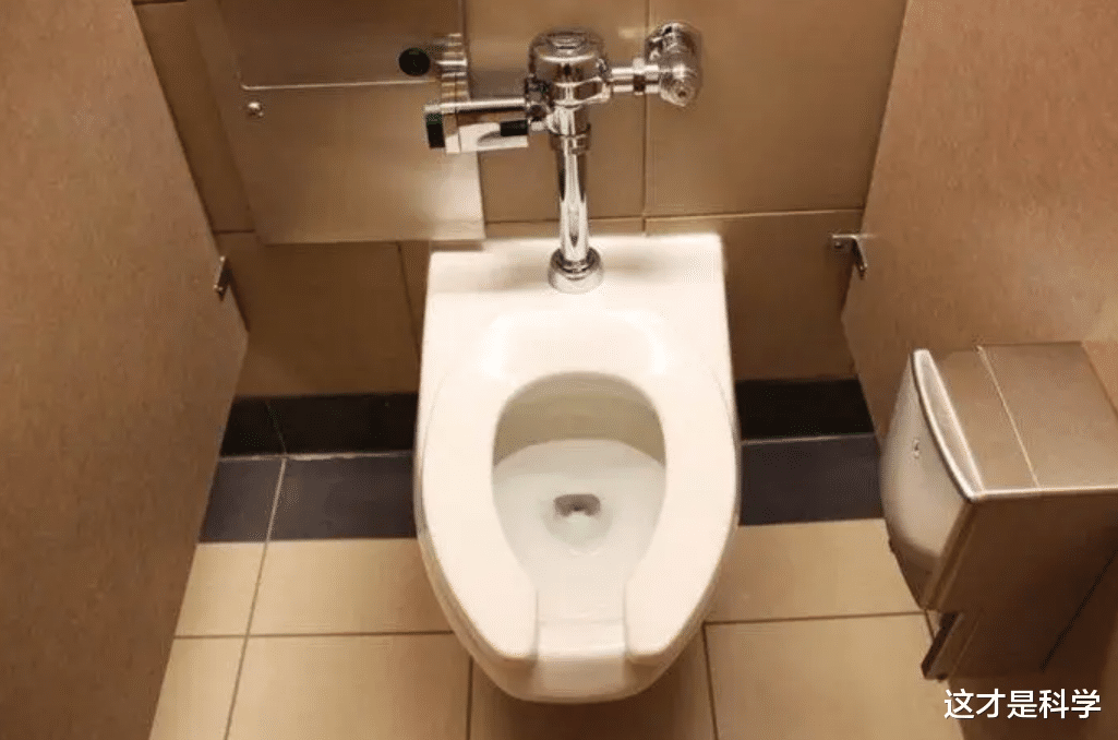 国外马桶圈留个缺口,这样的设计,是别出心裁还是画蛇添足