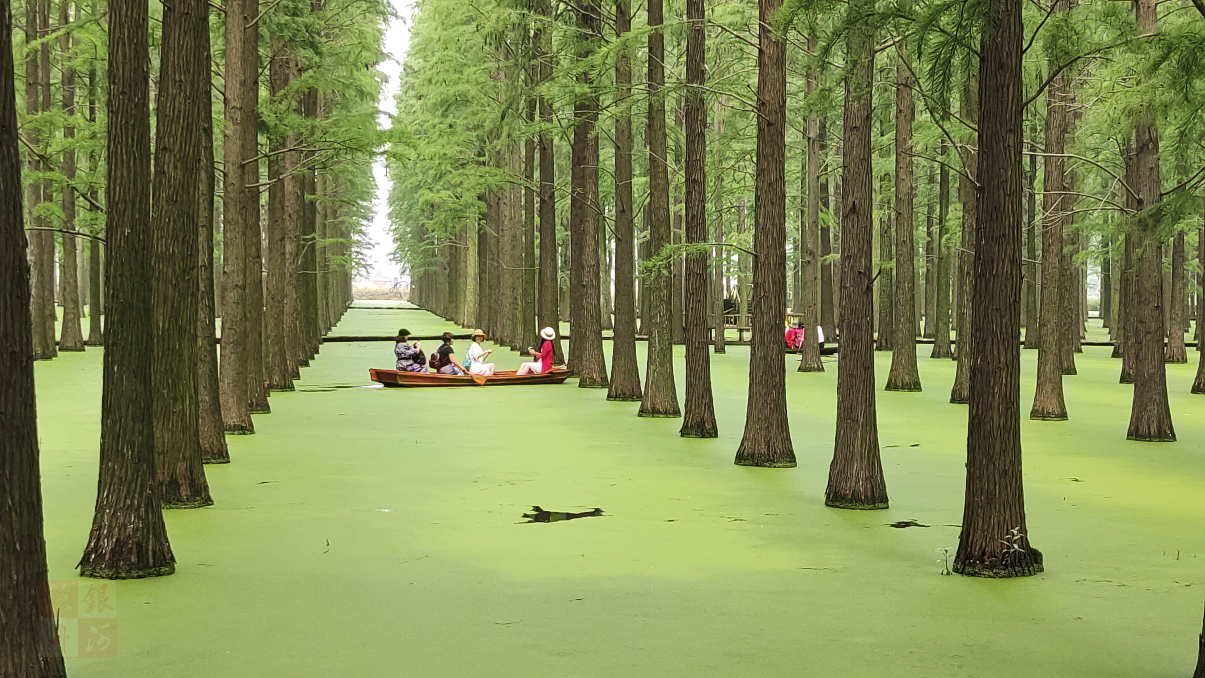 云南|网络热门旅游景点，你去看过几个？