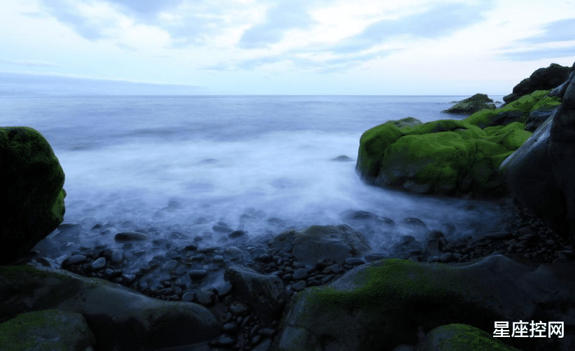 天蝎座|头脑好,人品佳,做人更有好前途的星座,什么优点都沾点边