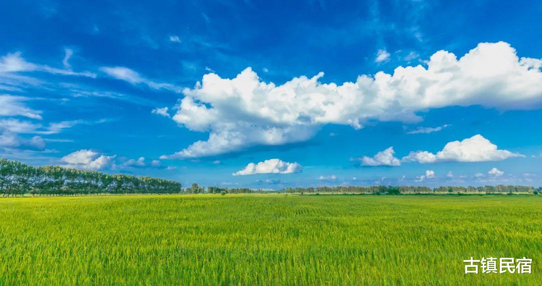大理|夏天，为什么是大理？
