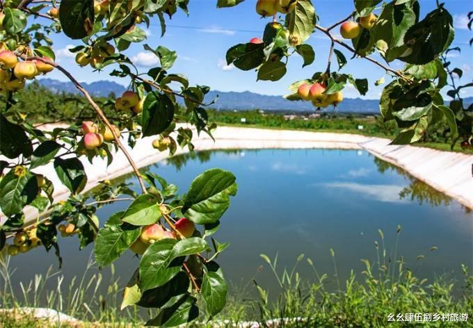 延庆|北京延庆红杏山庄民宿,草坪养殖场,越野摩托,垂钓儿童乐园俱全