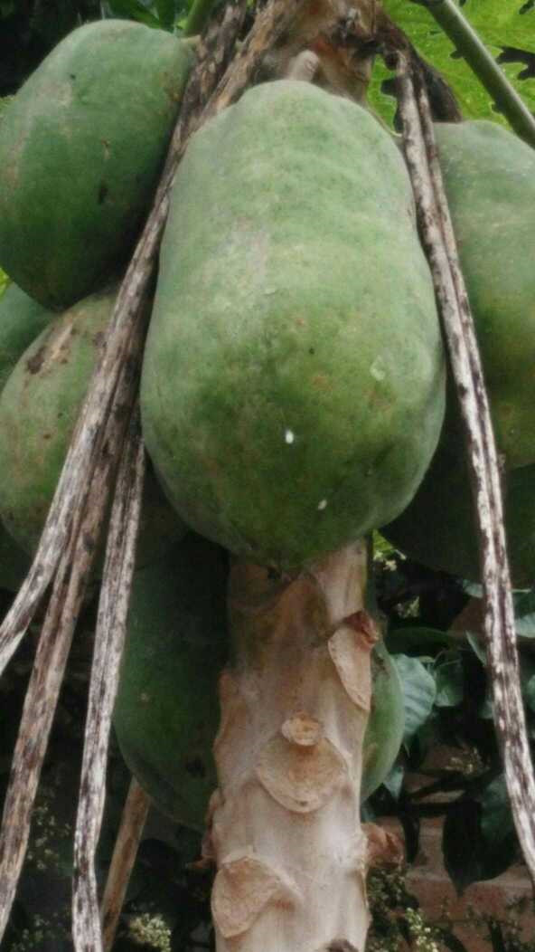 晒晒农村婆家自建房,土坯破瓦房,满屋老古董,厨房估计你没见过