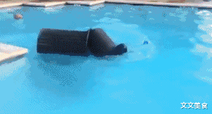 |搞笑GIF趣图:兄弟,这要是在职场,你肯定能爬的更高