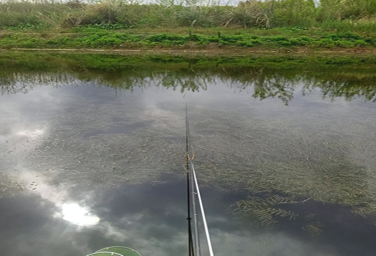 |春季升温鱼却难钓?想让鱼乖乖上钩,这“3招”绝对值得一试