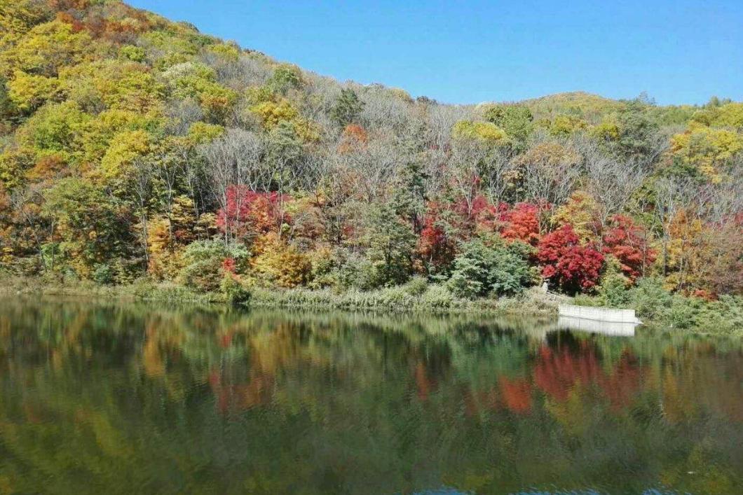 抚顺|辽宁一“黑马”公园，耗资5亿有望升级5A，人称抚顺“张家界”