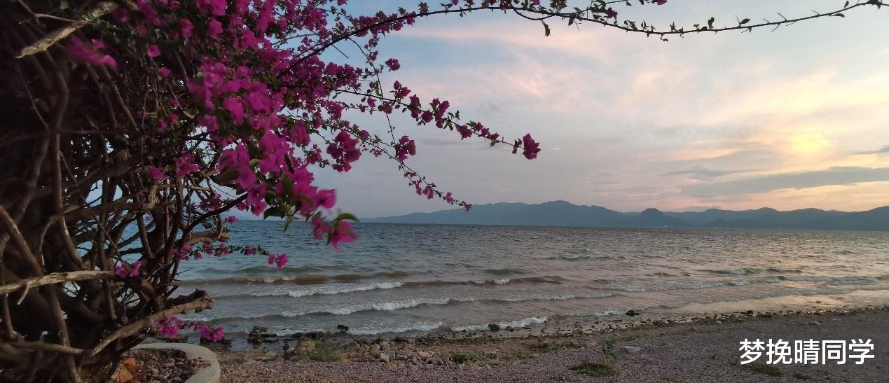 川藏公路|抚仙湖这家民宿性价比超高，老板把旅居养老搞得像一家人
