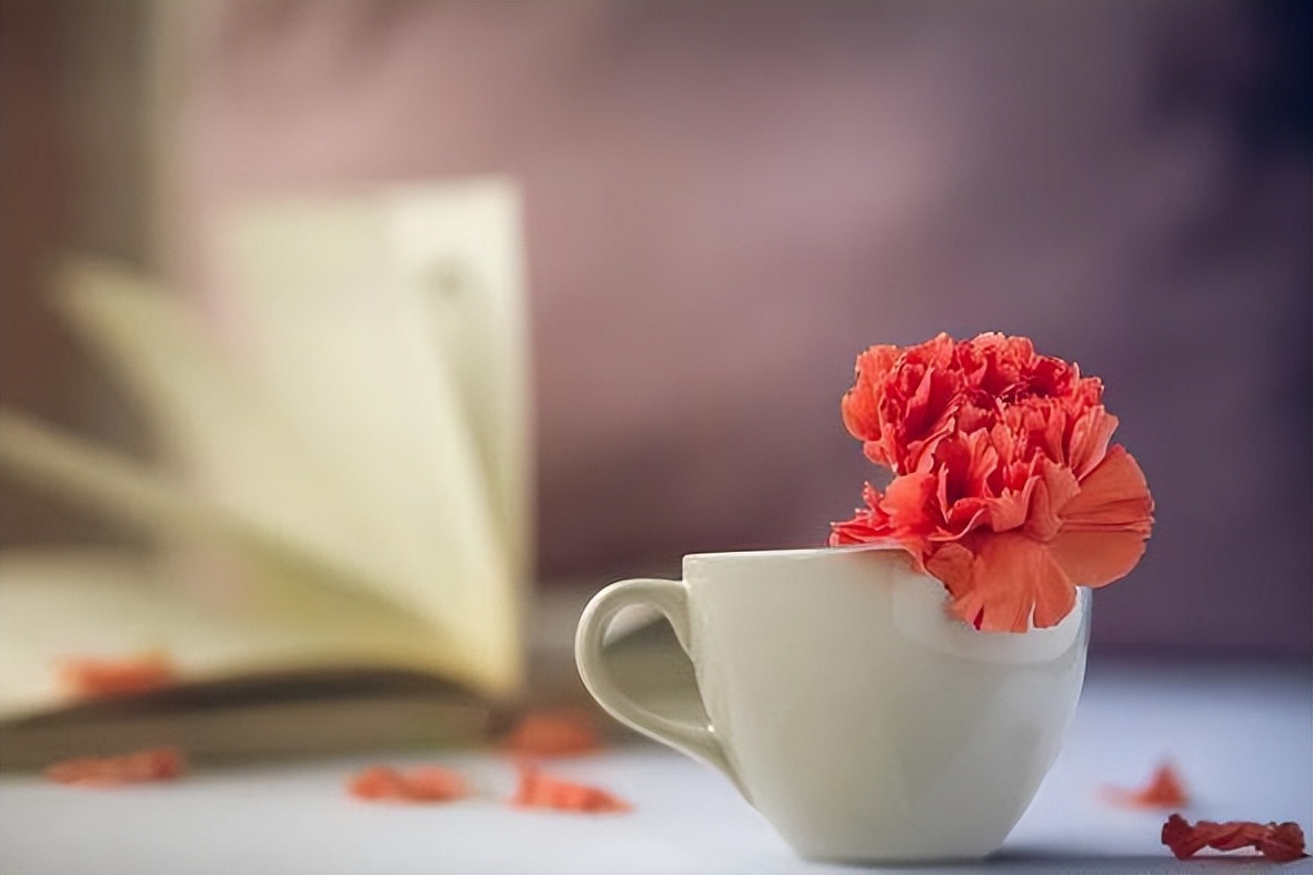 |人这辈子，最难的就是40岁到50岁这10年，这么活着才算聪明