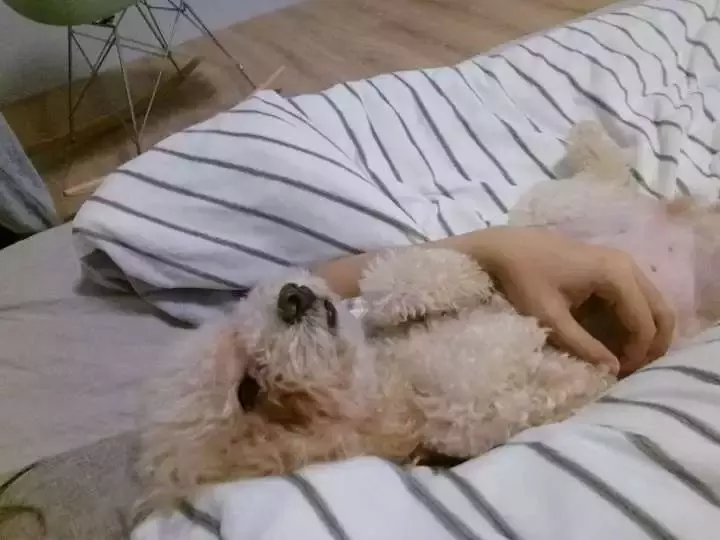 米家|理工男20万自装79㎡智能之家，让你看看科技宅的爆发是多么可怕！