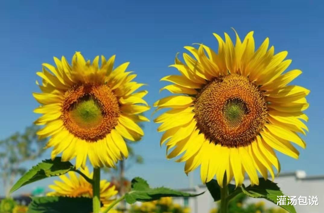 |30个日常小习惯