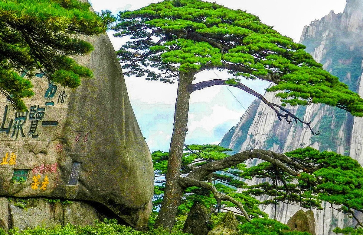 稻谷|我国超级震撼的五大自然景观，这一辈子要去一次，你去过几个呢