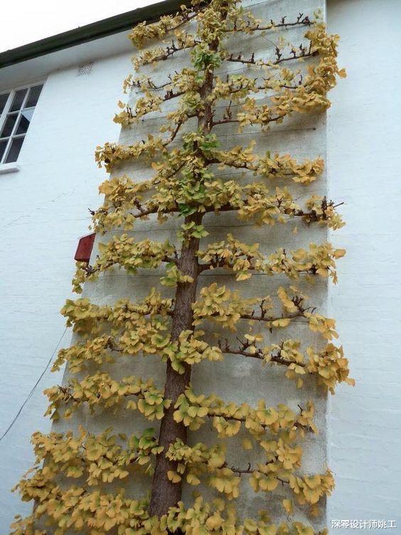 一面墙也能凹出造型来，这8种花园墙值得效仿，羡慕那些有庭院的业主