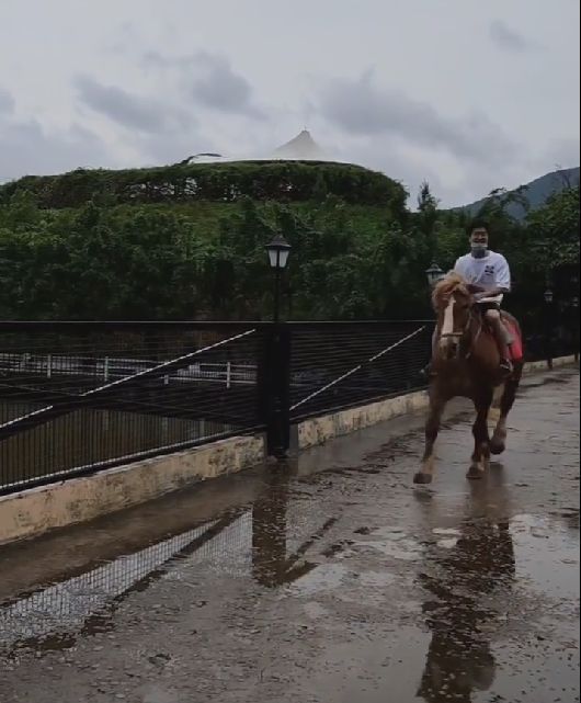 母亲节|孙卓陪妈妈过母亲节，孙辉作画被赞暖心，彭四英直言现在很幸福