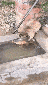 主持人|看了30年新闻联播，才知道主持人后面放那么多电视的原因