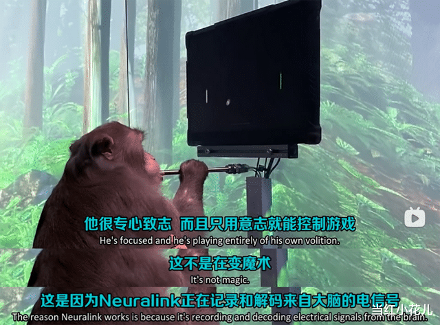看完2集,我敢说,它用实力兜住了期待