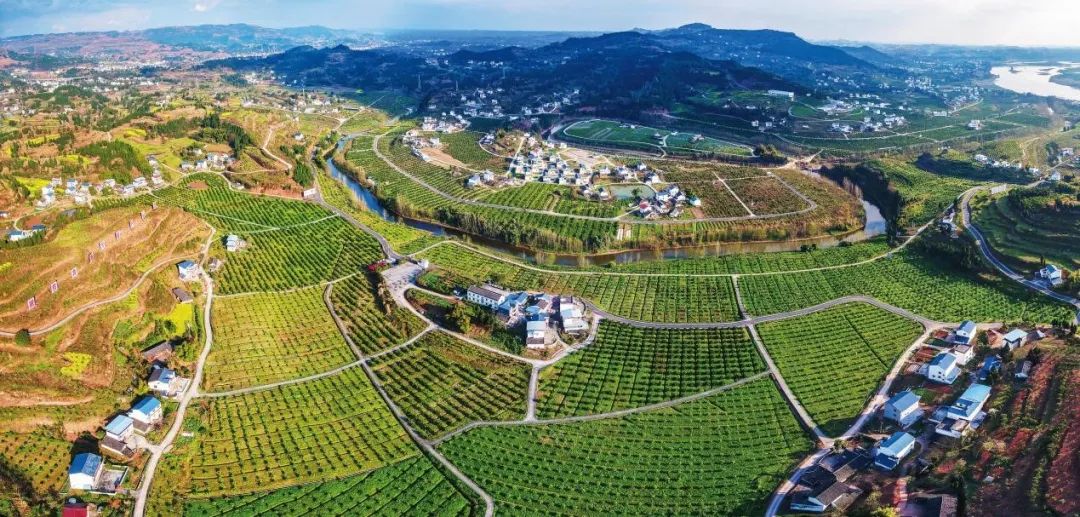 |江东首届文化和旅游产品推广会,7月19日开幕