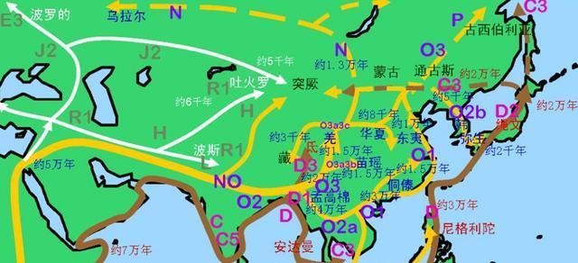 世界人类基因图谱简介:看看每一种基因都是什么民族?