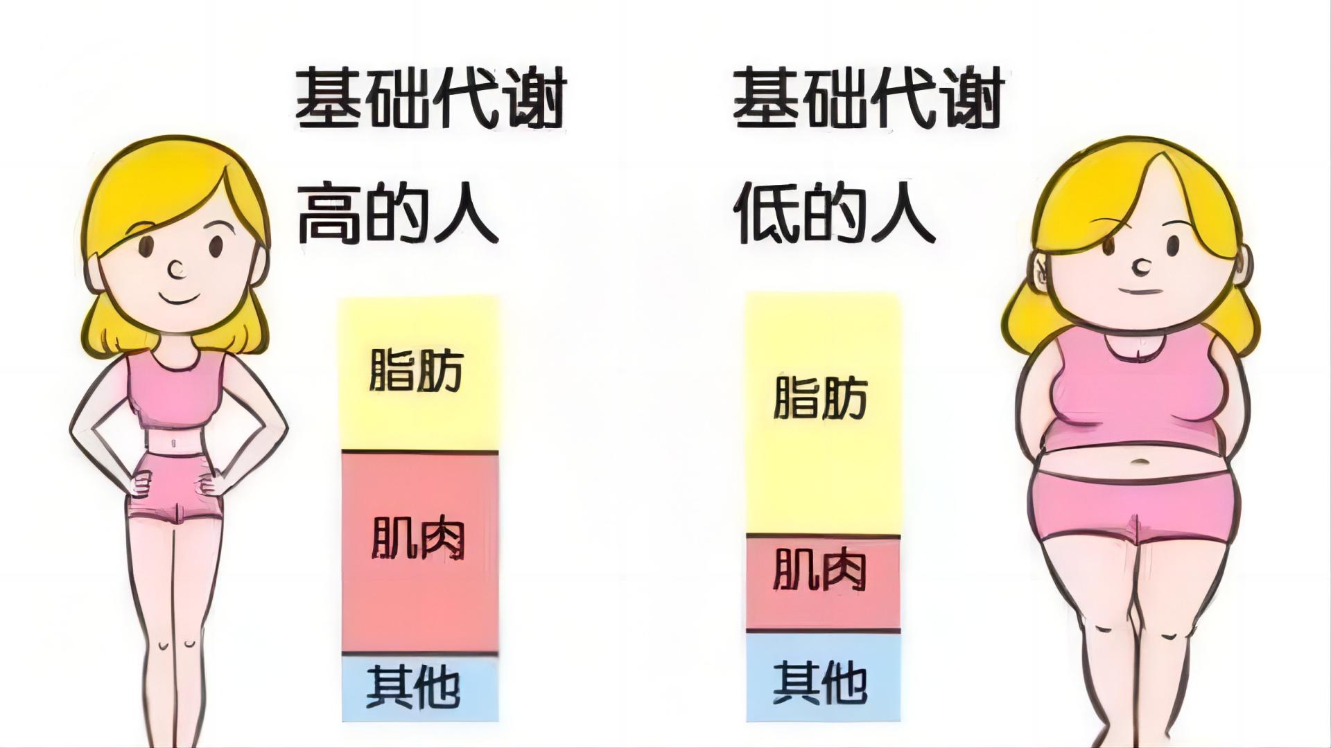 丽人丽妆 减肥专家教你提高代谢，养成易瘦体质，加速掉秤