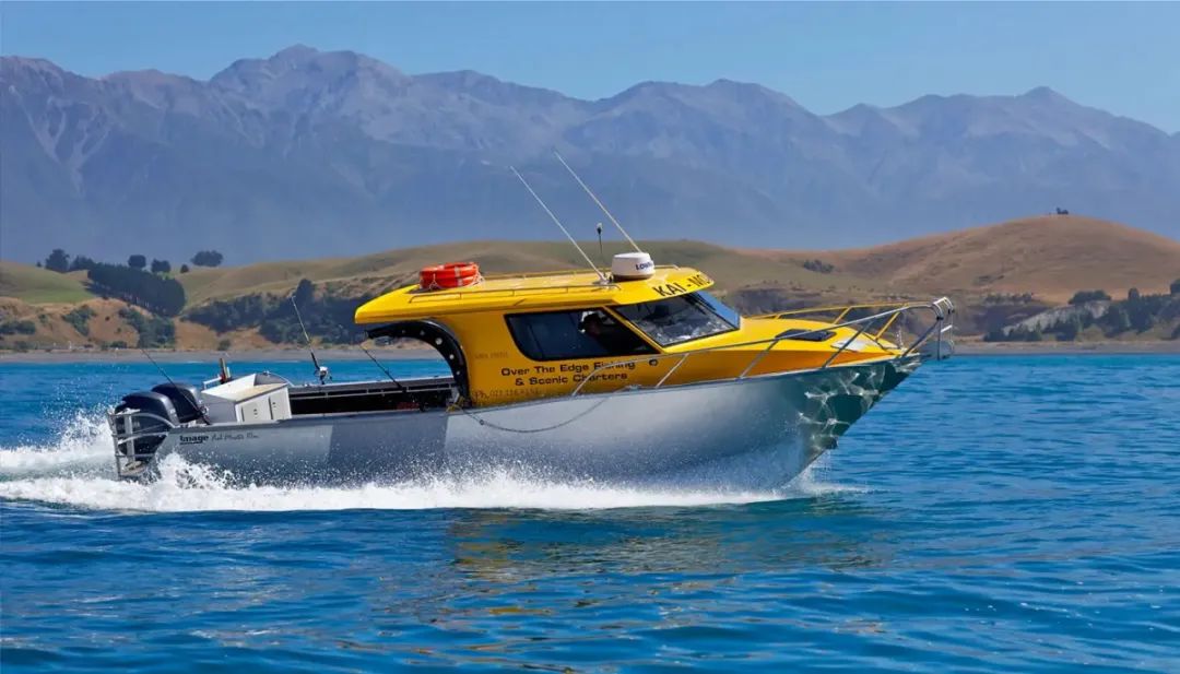 海钓|放生大海的鱼，为什么要在肚子上捅一个洞？