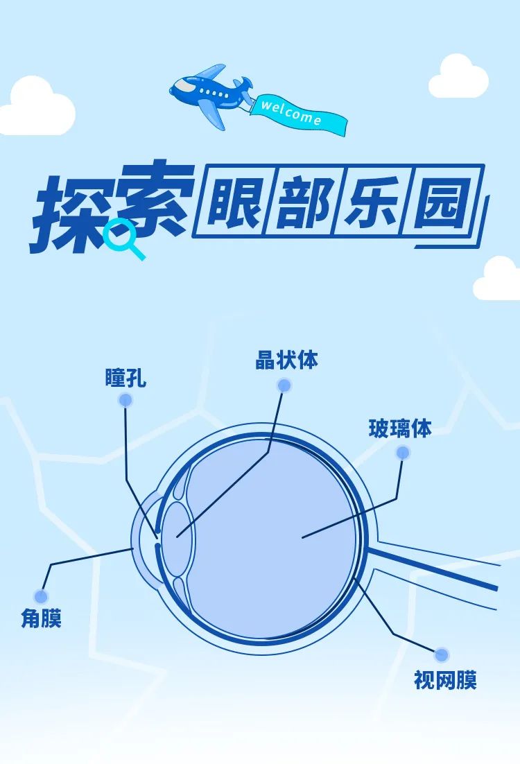 近视|你知道眼睛是如何工作的吗?