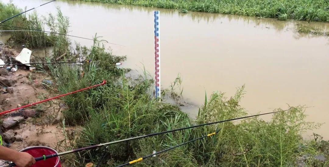 大板|钓鱼:需要自我遵守的9条规矩