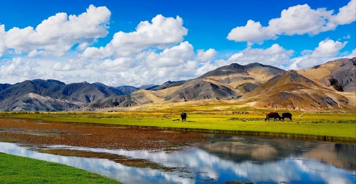 西藏|藏族人民苦不堪言,希望游客不要再去西藏,究竟发生了什么事情?