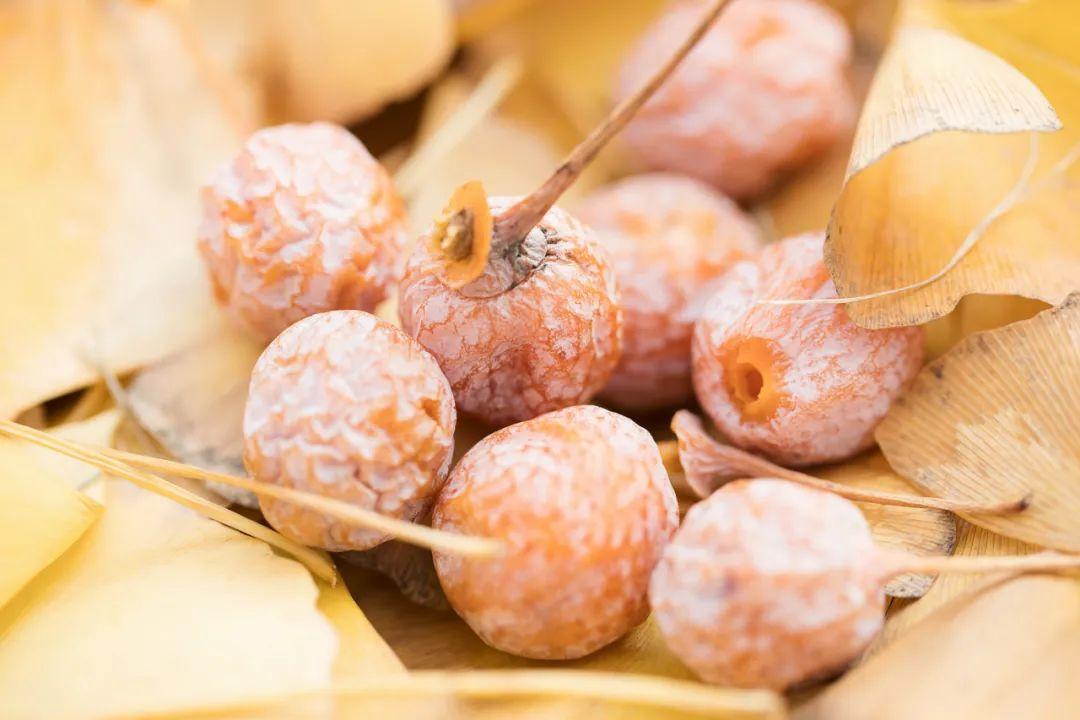 腾冲|年度最佳22℃暖冬小城！全国唯一半城银杏，半城温泉！现在来刚好