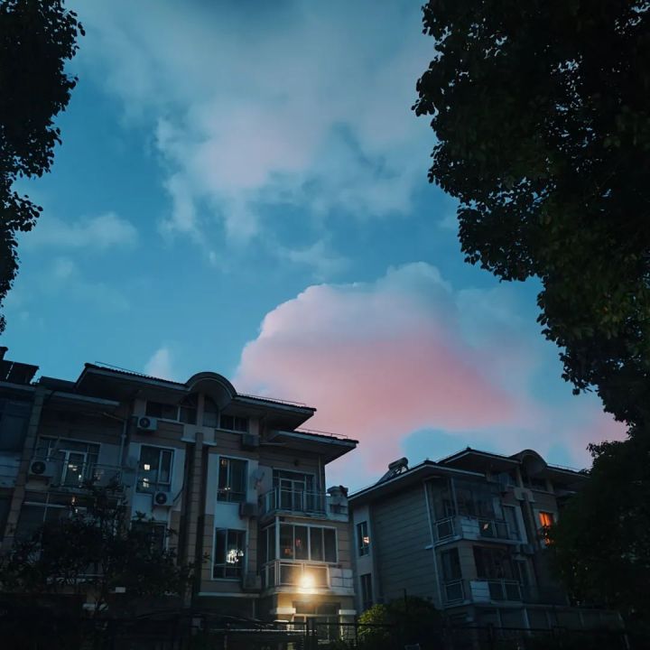 求职|在夹缝中的网课一代人