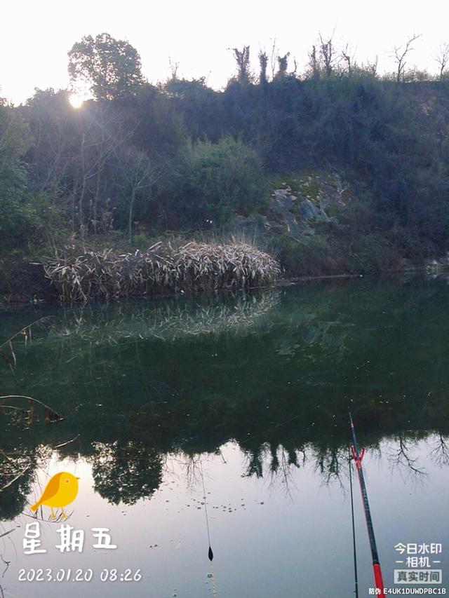 |年前收官之战,渔获满满